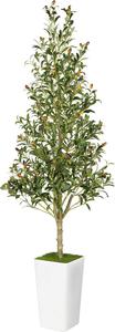 (Retail $99.00) Artificial Olive Tree with Pot, 6FT, White