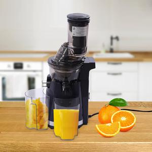 (Retail $109.99) Rusty Vioum AJM-400B Juicer Machine, 250W Slow Juicer with Brush