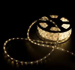 WALSPORT Outdoor 100 ft. 110-Volt Plug-In Warm White Color Changing Light LED Rope Light