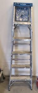 Werner Aluminum 6-Foot Ladder 