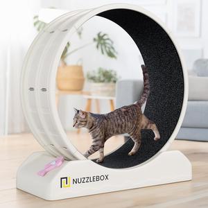 Cat Exercise Wheel with Teaser