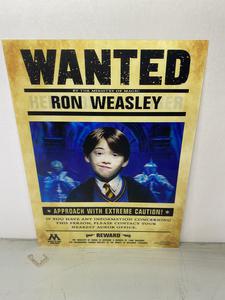 Harry Potter Wanted Poster Harry, Ron, Hermione 3D Lenticular, 3 Images On One Print, See Photos
