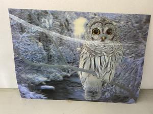 Snow Owl 3D Lenticular, On One Print, See Photos