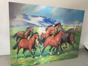 Horses 3D Lenticular, On One Print, See Photos