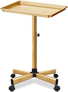 Retain Time Premium Aluminum Salon Tray, Sturdy Corrosion-Resistant Adjustable Tray is Used for Tattoo Tray, Salon Tool/Color Tray, Beauty Spa Tray, Dentist Tray, Etc.&#133;(glod)