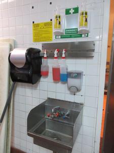 Stainless Steel Hand Sink, Paper Towel Dispenser, Soap Dispenser, Emergency Eye Wash Station and more