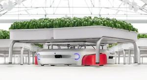 (25) Greenhouse Hydroponic Ray Products Modular Grow Tubs with Promain/Vanderbend Industrial Metal Frame Bases &#38; Galvanized Metal Center Dividers - 6ft x 6ft - Retail  Value  $29,100