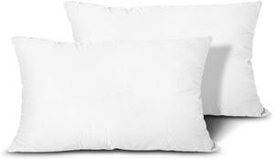 Throw Pillow Inserts, Set of 2 Lightweight Down Alternative Polyester Pillow, Couch Cushion, Sham Stuffer, Machine Washable. (White, 12x20) (New)