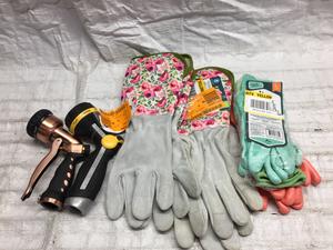 (6) Assorted Lot
