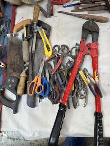 Group of Hand Saws Scissors Wire Cutters and More