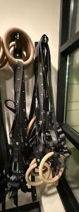 Group of Gym Training Rings with Wall Mounts