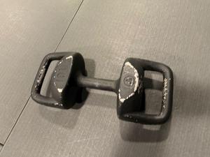 Pair of Torpedo by Alchemy 10LB Dumbell/KettleBell