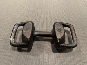 Pair of Torpedo by Alchemy 30LB Dumbell/KettleBell