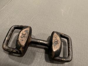 Pair of Torpedo by Alchemy 35LB Dumbell/KettleBell