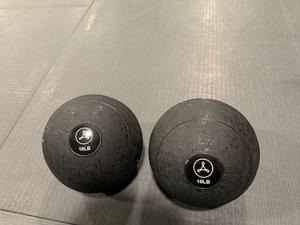 Pair of Alchemy 10LB Weighted Medicine Balls