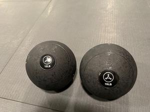 Pair of Alchemy 10LB Weighted Medicine Balls