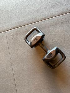Torpedo by Alchemy 30LB Dumbell/KettleBell