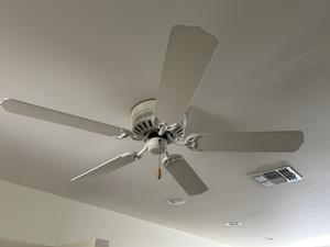 (2) 5-Blade Ceiling Fans and (1) 3-Blade Ceiling Fan 