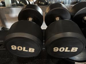 (2) 90lb Dumbbells - Sold at AuctionAZ for $179